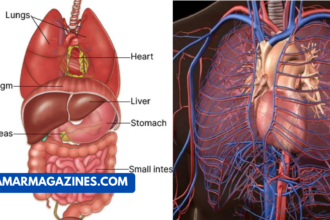 Why Does Ozdikenosis Kill You