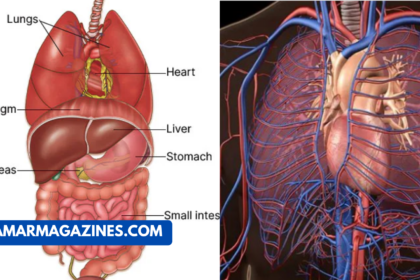 Why Does Ozdikenosis Kill You